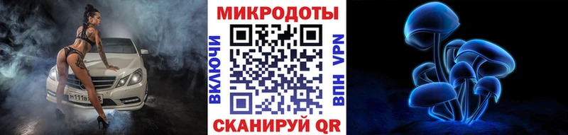 закладки  Льгов  Галлюциногенные грибы MAGIC MUSHROOMS 